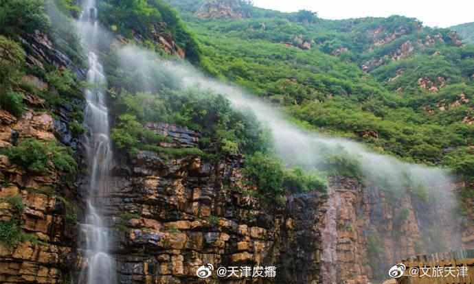 如何解除耐受性？游戏画面